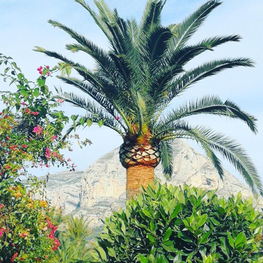 Apartment Paca Γιαβέα Εξωτερικό φωτογραφία